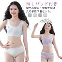 キッズ 下着セット ブラジャー インナー パッド付き ジュニア 子供 ブラジャー 大人 カップ付き アンダーウェア 女の子 上下セット 肌着 パンツ パッド付き...