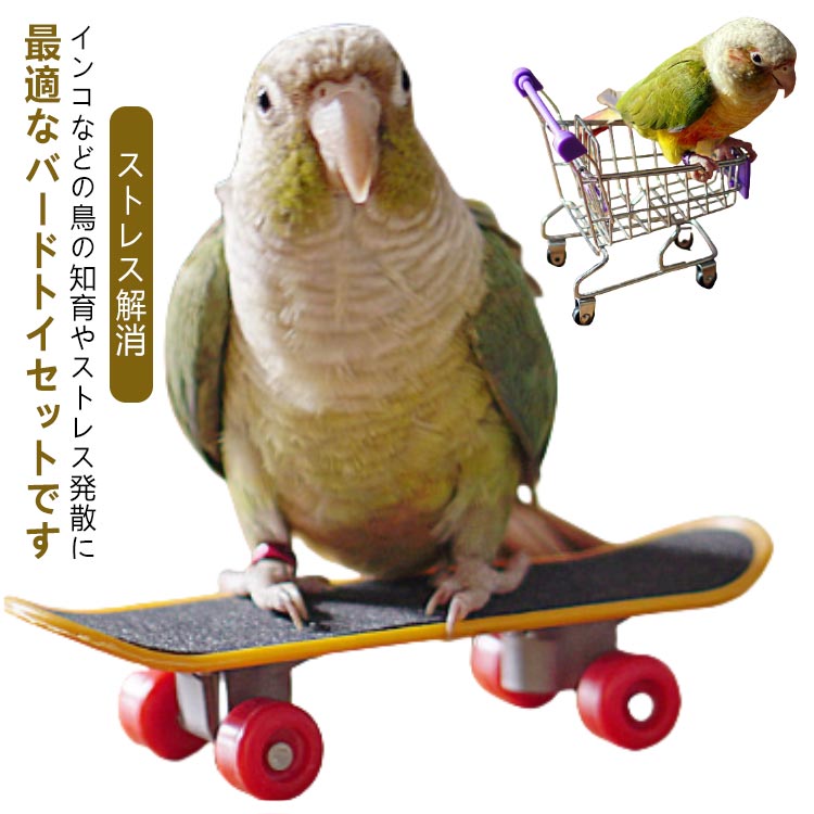 ショッピングカート 鳥玩具 鳥玩具 ミニ 鳥 スケートボード スケートり物 訓練知育玩具 立て インコ ペット用品 訓練 知育 玩具 強化された運動 ストレス解...