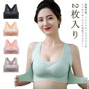 育乳ブラ 接触冷感 美背ブラジャー 2枚入り フロントホック ハイサポート アイスシルクブラ 補正 大きいサイズ ノンワイヤーブラ ストレッチ 脇高 脇肉 軽量 薄手 M L XL 2XL 3XL