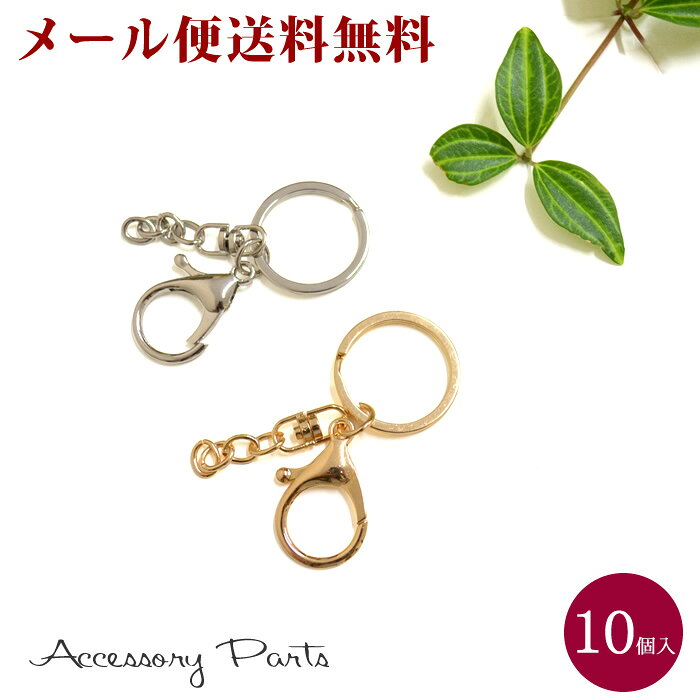 【メール便送料無料】 ［PA137］　10個入　アクセサリーパーツ　キーホルダーリング　ナスカン付　素材　材料　ハンドメイド　パーツ　部品　ゴールド　シルバー