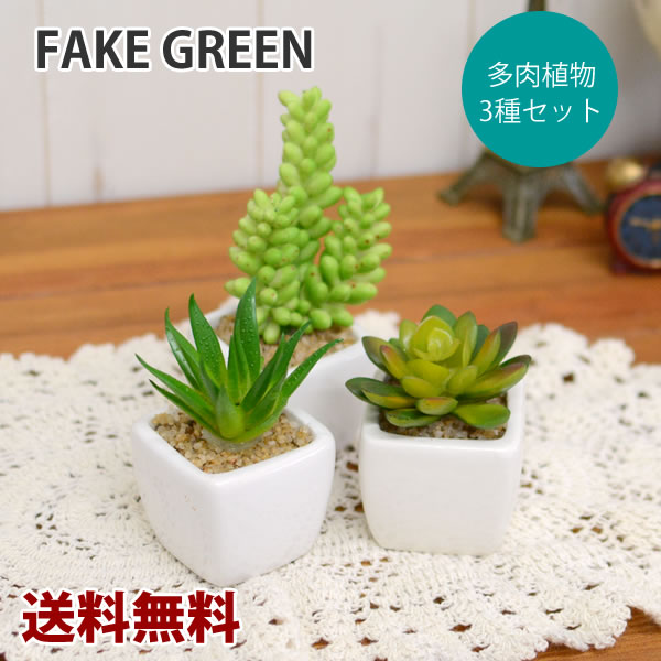 送料無料 フェイクグリーン 多肉植物 3個セット フェイクグリーン ちょっとしたアクセントにフェイクグリーン ミニ 観葉植物 造花 インテリア フェイクグリーン フェイクグリーン フェイクグリーンのレビュー クチコミとして参考になる投稿1枚 Roomclip ルーム 送料無料 フェイクグリーン 多肉植物 3個セット フェイクグリーン ちょっとしたアクセントにフェイクグリーン ミニ 観葉植物 造花 インテリア フェイクグリーン フェイクグリーン フェイクグリーンのレビュー クチコミとして参考になる投稿1枚 Roomclip ルーム
