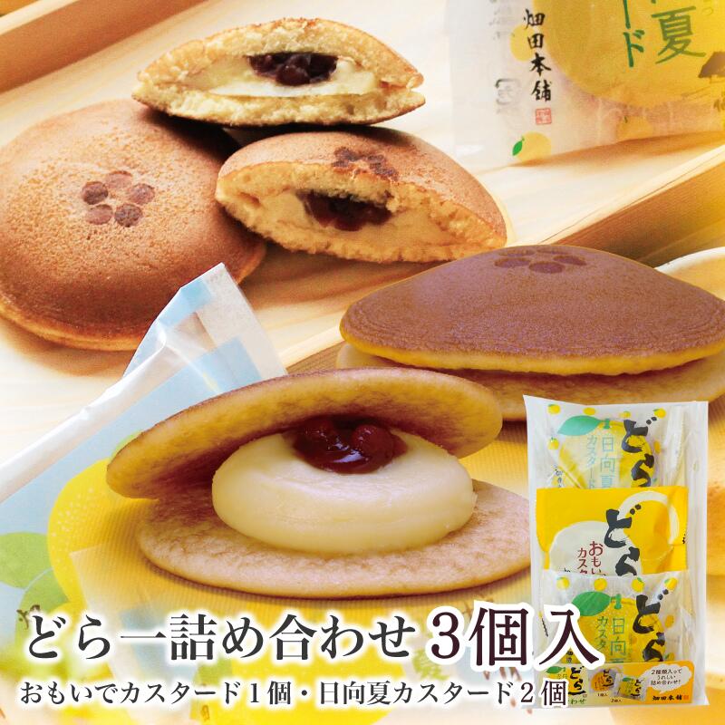 どら一の日 どら一（どらいち）詰め合わせ（おもいでカスタード、日向夏カスタード）【3個入】のサムネイル