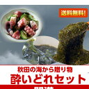 ぎばさ 秋田 の海が贈るきざみ酢だこ / あかもく / トロトロわかめ 贅沢 二日酔い対策セット 送料無料 三高水産