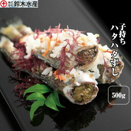 ハタハタ 寿司 鈴木水産 はたはた 子持ずし 500g樽詰【いずし】【イズシ】【鰰飯寿司】【飯寿司】【秋田】出川 充電させてください ぶりこ