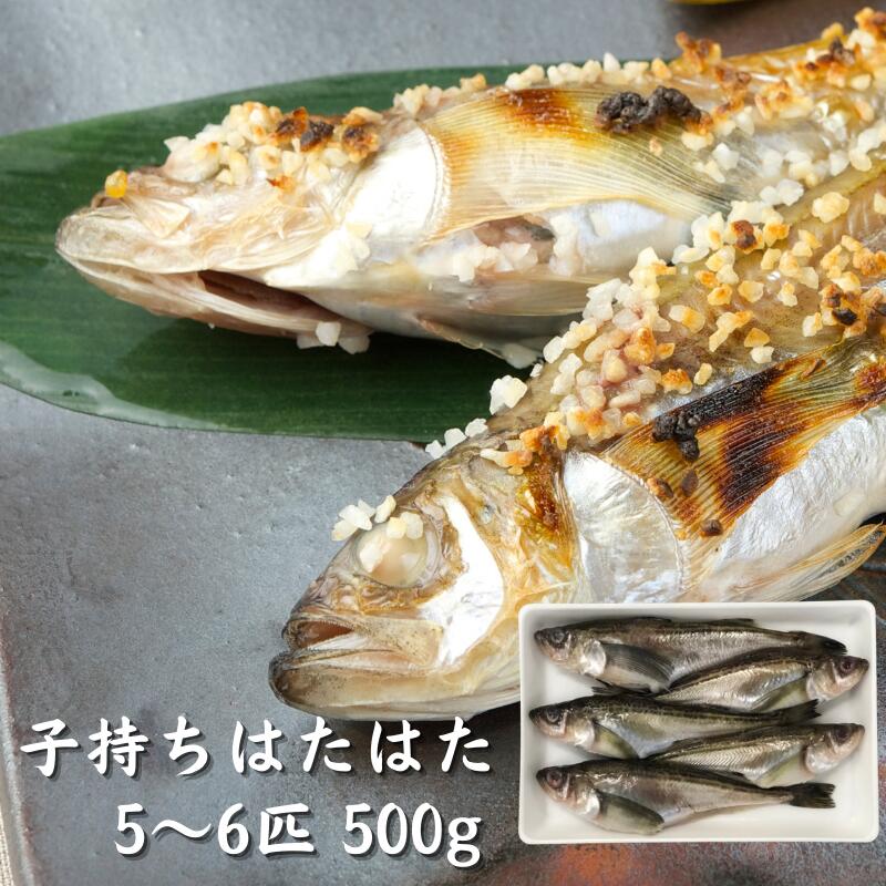 高橋しょっつる屋 秋田名産 ハタハタ 炊き込みご飯の素 しょっつる味 180g 3袋