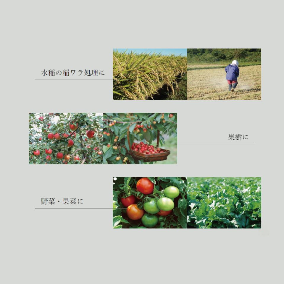 �����ȡ�����ˡ�͸����ö�̳�� 2�ޡ�24�� �ޤȤ��㤤�ۥ���޹���(ʴ)15kg��2�ޡ�