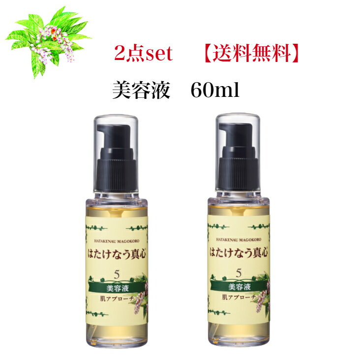 egf 美容液 60ml EGF 肌アプローチ 化粧品 目元 口元 エイジングケア ターンオーバー 美肌 紫外線 ケア オイルフリー保湿美容液