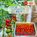 とまと トマト 送料無料 【特別栽培農産物】 ソムリエ ミニトマト ダイヤ 農家直送 トマトジュース 高糖度 プチトマト フルーツ プレゼント ギフト 贈答 贈り物 ダイエット スープ 冷凍 レッドアップ ふるさと 父の日