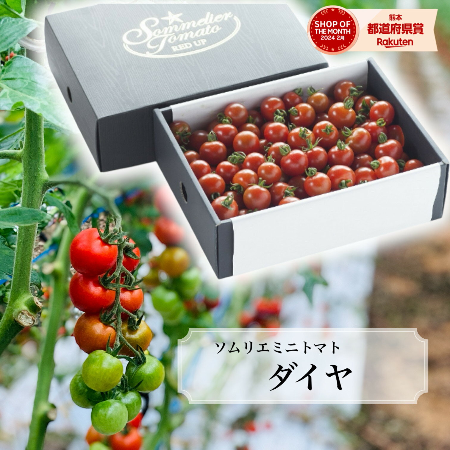 とまと トマト 送料無料 数量限定 【特別栽培農産物】\極み/ ソムリエ ミニトマト ダイヤ トマトジュース プチトマト プレゼント 送料無料 ギフト ダイエッ...