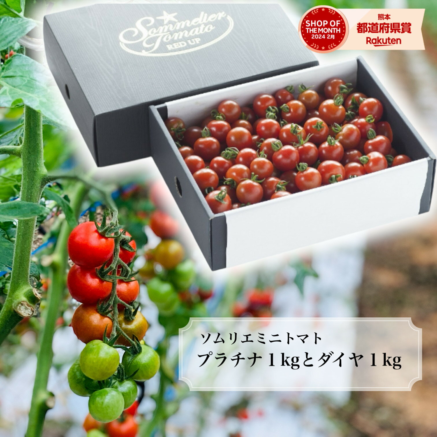 予約12月から順次発送 とまと ミニトマト 送料無料 数量限定 \極み/【特別栽培農産物】 ソムリエミニ トマト プラチナとダイヤ各1kgのセット トマトジュー...