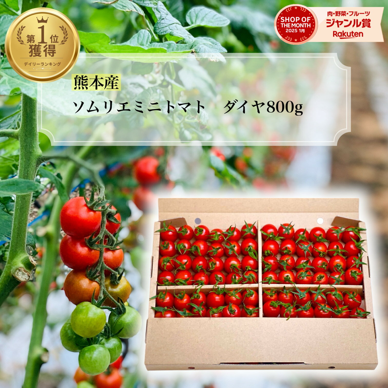 デイリーランキング1位 とまと ミニトマト 送料無料 【特別栽培農産物】ソムリエミニ トマト ダイヤ 800g トマトジュース プチトマト プレゼント 送料無料...