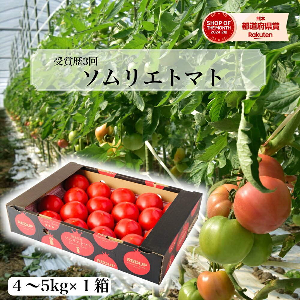 楽天市場】5-（総重量（野菜）4.0 ～ 4.9kg）（トマト｜野菜・きのこ