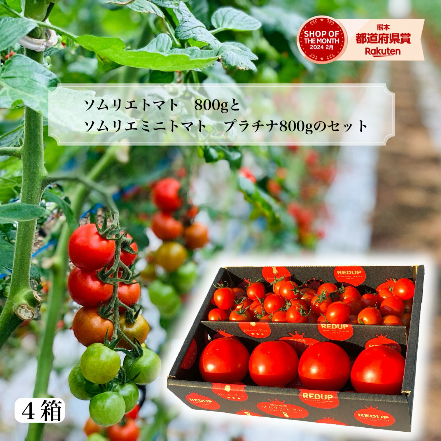 楽天市場】ミニトマト（総重量（野菜）6.0 ～ 6.9kg）（食品）の通販