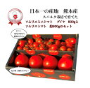 トマトジュースセット とまと ミニトマト 送料無料 【食べ比べ】 ソムリエ トマト 約800gと ソムリエミニトマト ダイヤ800gのセット トマトジュース レシピ 高糖度 酸味 プチトマト フルーツ 野菜 甘い プレゼント ギフト 贈答 贈り物 濃厚 新鮮 o1