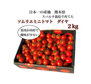 / 父の日 にお届け/【塩トマトのようなフルーツトマト】ソムリエミニ トマト ダイヤ 2kg（90玉〜150玉）：とまと 熊本 ミニトマト トマトジュース 送料無料 高糖度 濃厚 塩トマト グルメ 特産 甘い 旬 美容 健康 プレゼント ギフト 野菜 家庭 贈答 贈り物 高級 プレミアム