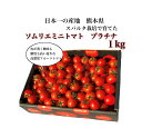 トマトジュースセット とまと ミニトマト 送料無料 【希少な 高濃度 フルーツ トマト 】ソムリエミニトマト プラチナ トマトジュース 高糖度 酸味 プチトマト フルーツ 野菜 ダイエット 甘い プレゼント ギフト 贈答 贈り物 濃厚 新鮮 美容 効果 s2