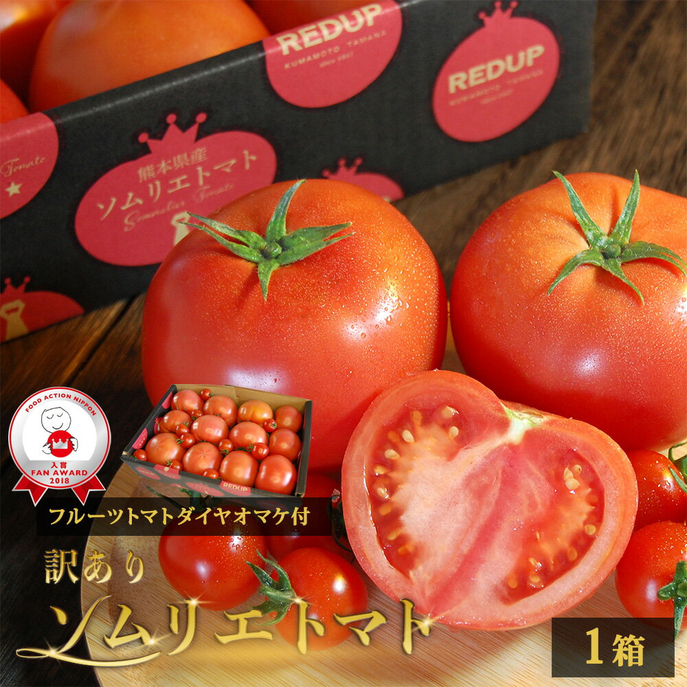 tomato-daiya2-01.jpg tomato-daiya2-01.jpg