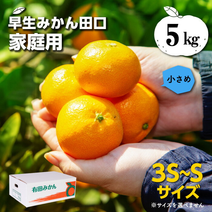 【追加販売】小さな 田口早生みかん（たぐちわせ）5kg 家庭用 さけい農園のこだわり愛情みかん 年内発送 送料無料（北海道・沖縄県は除く）有田みかん 温州みかん お歳暮 ギフトのサムネイル