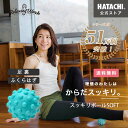 【公式】 HATACHI スッキリボールSOFT RelaxingWork リラクシングワーク | 羽立工業 ハタチ マッサージ ボール グッズ 足裏 ふくらはぎ..