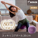 【公式】 HATACHI バランスボール 20cm スッキリコアボール RelaxingWork リラクシングワーク NH3601 羽立工業(ハタチ)|送料無料...