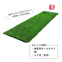 グラウンドゴルフ 自宅練習セット|練習用ホールポスト 旗(赤No.1)長芝人工芝3点セット|ホールインワン 上達 練習 グラウンドゴルフ用品 グランドゴルフ用品...
