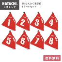 yz HATACHI BIG񂩂\ 8z[Zbg