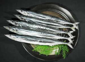 サンマ丸干し 25本入り 内臓取り除き さんま干物 さんま 干物 サンマ 贈答 さんま丸干し 魚干物 熊野名物 御歳暮 ギフト 贈り物 魚 北海道産 秋刀魚 ひもの 美味しい干物 丸干し お取り寄せグルメ ご当地グルメ 美味しい おつまみ 取り寄せ つまみ おかず プレゼント