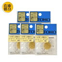 【訳あり】ツナギ小判カン 約2mm 1.5g入× 同色5パックセット トーホー 9-6-1 在庫処分