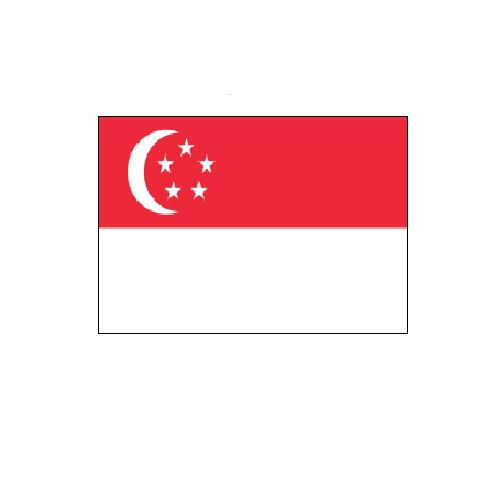 シンガポール Singapore オーダー 国旗 外国旗 卓上旗 旗 フラッグ 160か国対応 〜サイズ、素材によりお値段が変わります