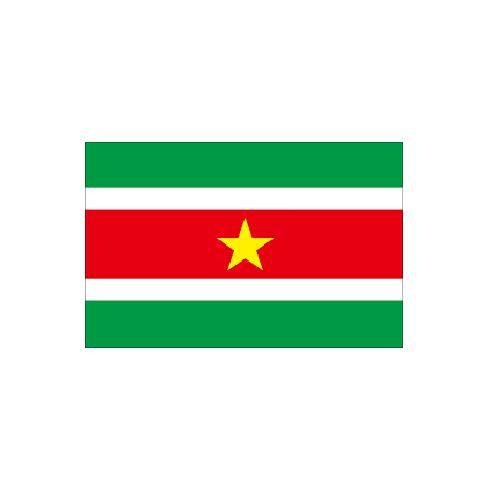 スリナム Suriname オーダー 国旗 外国旗 卓上旗 旗 フラッグ 160か国対応 ～サイズ、素材によりお値段が変わります