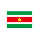 Xi Suriname I[_[  O   tbO 160Ή `TCYAfނɂ肨liς܂