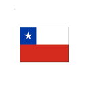 ` Chile I[_[  O   tbO 160Ή `TCYAfނɂ肨liς܂