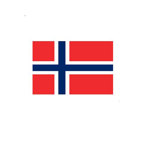 ノルウェー Norway オーダー 国旗 外国旗 卓上旗 旗 フラッグ 160か国対応 ～サイズ、素材によりお値段が変わります