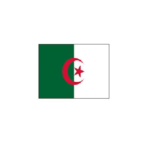 アルジェリア Algeria オーダー 国旗 外国旗 卓上旗 旗 フラッグ 160か国対応 〜サイズ、素材によりお値段が変わります