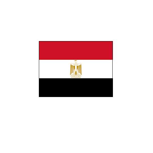 エジプト egypt オーダー 国旗 外国旗 卓上旗 旗 フラッグ 160か国対応 〜サイズ、素材によりお値段が変わります