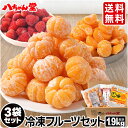 【ギフト対応】送料無料 八ちゃん堂 フルーツセット 3袋セット (合計1.9kg)[わけありむかん ひとくちむかん 冷凍あまおう 冷凍 みかん ミカン 無添加 ...