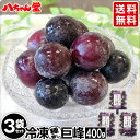 商品画像2