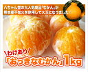 熊本産不知火使用 わけあり『おっきな むかん 1kg』(外皮をむいた冷凍みかん) - 八ちゃん堂
