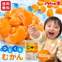 送料無料 ひとくちむかん 500g [外皮をむいた冷凍みかん むかん 冷凍みかん 冷凍フルーツ ミカン お風呂あがり デザート スイーツ フルーツ シャーベット...