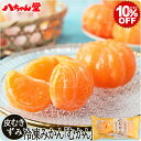 むかん 2個入（1袋2個入／1個50g） ［外皮をむいた冷凍みかん むかん 冷凍みかん 冷凍フルーツ ミカン デザート スイーツ フルーツ シャーベット 果物 プチギフト］