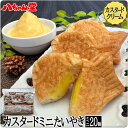 【店内全品10％OFFクーポン】クリームたい焼きミニサイズ (20個入り) たいやき たい焼き カスタード クリーム 八ちゃんたいやきミニサイズ(カスタード)20個入 饅頭 お菓子 和菓子 業務用 はっちゃんどう 文化祭 学園祭 学祭 祭り イベント