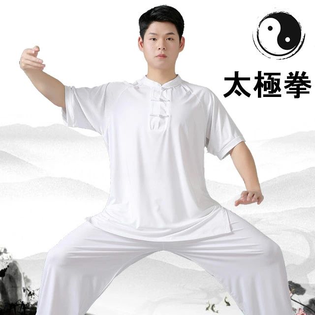 送料無料 太極拳 半袖 tシャツ メッシュ 太極拳ウェア 太極拳服 チャイナカラー スリット入り カンフー服 半袖 スポーツウェア 表演服