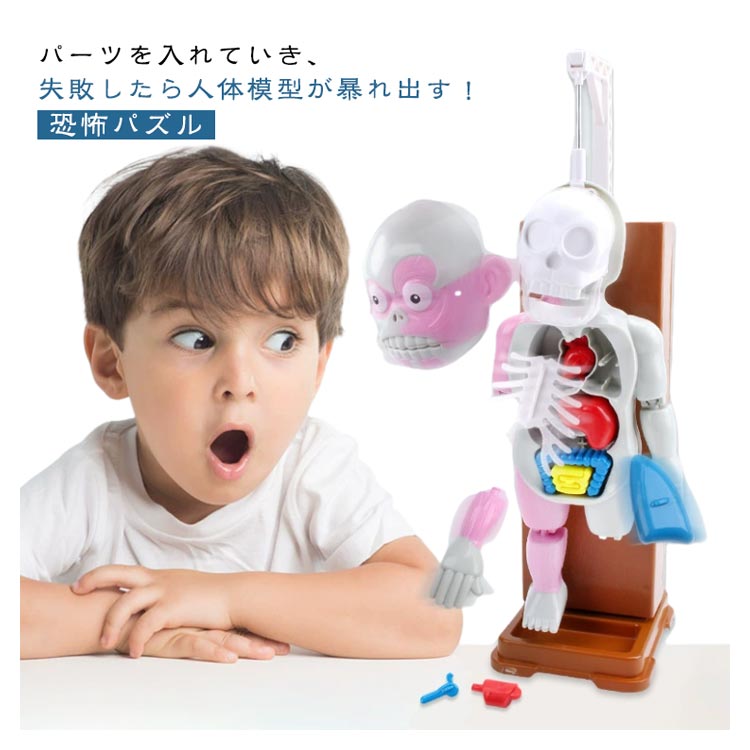【商品紹介】 パーツを入れていき、失敗したら人体模型が暴れ出す！ 【遊び方】 順番にカードを引く。 引いたカードに従い内臓パーツを入れる。 うまく入れられたら次の人に交代。 うまく入れられないと…顔が飛び出てパーツがガシャーン!!　人体模型が暴れ出したら負け。 使用電池：単3×3本（別売） 【超オモ怖ポイント！！】 POINT1 スケルトン！ 構造がよく見えて内蔵の位置がわかりやすい！ POINT2 パーツ大容量！ 骨、内蔵、手・足パーツが17個も入ってる！ POINT3 ド派手アクション！ 顔が飛び出てパーツが超クラッシュ！ 【セット内容】 本体 顔 手・足×左右1対ずつ 骨パーツ×1個（肋骨） 内蔵パーツ×10個（肺（右・左）×各1・心臓・膵臓/胆嚢・肝臓・腎臓・胃・大腸・小腸・膀胱・脾臓） カード×16枚 ピンセット×1個 【サイズ】 サイズ：31×23×13cm 対象年齢：6歳～ プレイ人数：1～4人 使用電池：単3乾電池×3個（別売） ※商品のサイズは手作業で測定しているため、若干の誤差があります。 【素材】 ABS・POM 【色】 写真参考 【備考】 ●製造ロットにより、細部形状の違いや、同色でも色味に多少の誤差が生じます。 ●パッケージは改良のため予告なく仕様を変更する場合があります。 ●出荷前に全て検品を行っておりますが、万が一商品に不具合があった場合は、お問い合わせフォームまたはメールよりご連絡ください。速やかに対応致します。 ●商品の色は撮影時の光やモニター環境により実物と異なる場合があります。 ●同じ商品でも生産時期により形・サイズ・カラーに多少の誤差が生じる場合があります。 ●サイズ詳細はスタッフ間で統一しておりますが、実寸は商品によって1～3cm程度の誤差がある場合があります。関連商品はこちら