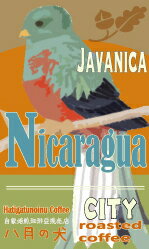 500g　ニカラグア ジャバニカ　 【コーヒー】【コーヒー豆】