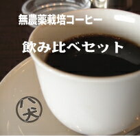 送料無料　農薬 不使用コーヒー　