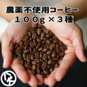 送料無料 八月の犬 お試し 100gx3種 セット コーヒー豆 お試し コーヒー ゆうパケット発送