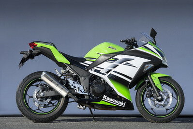 バイク用品 マフラーヤマモトレーシング ヤマモト.R ステン スリップオン TYPE-S Ninja250 13-40252-01NSN 4521717300956取寄品 セール