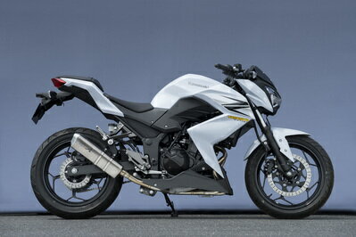 バイク用品 マフラーヤマモトレーシング ヤマモト.R ステン スリップオン TYPE-S Z250 13-40253-01NSN 4521717301014取寄品 セール