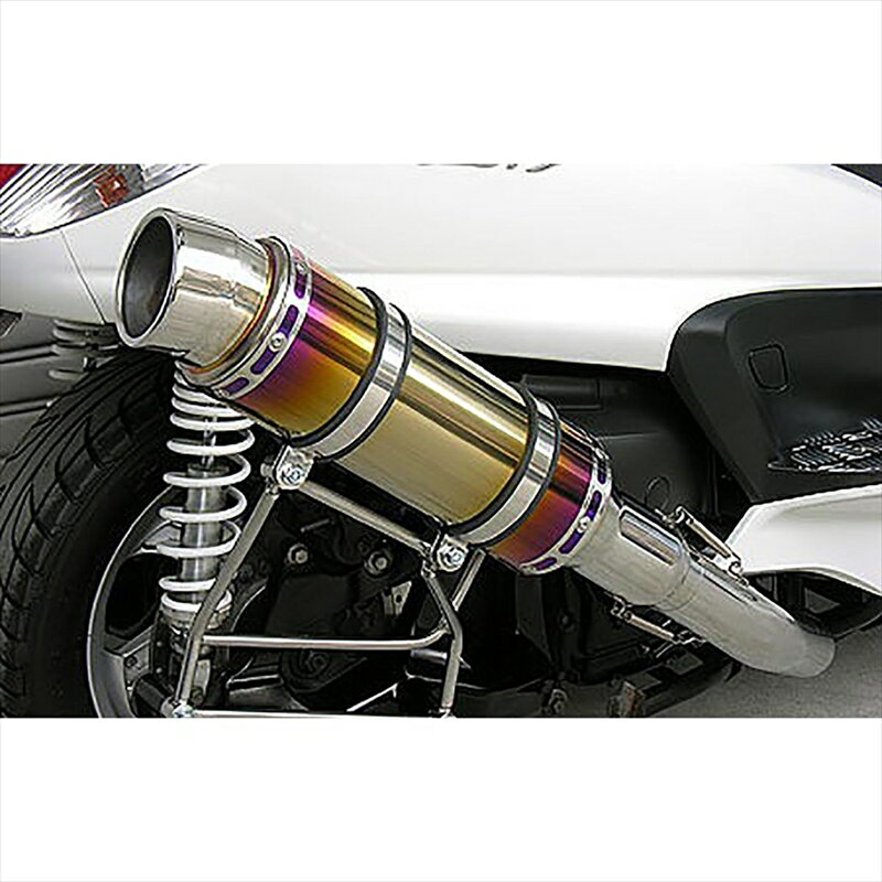 バイクパーツ マフラーウイルズウィン ビーストマフラー タイプS/焼色122-11-10 4547567450528GRANDMAJESTY250