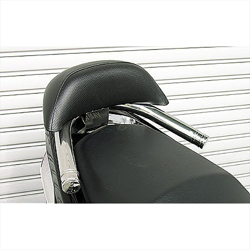 バイクパーツ 外装ウイルズウィン Bレスト付タンデムバーELG/38/L Sv163-12-02 4547567243205CYGNUS-X -06